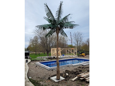 Artificial Palm Trees  in Ontario